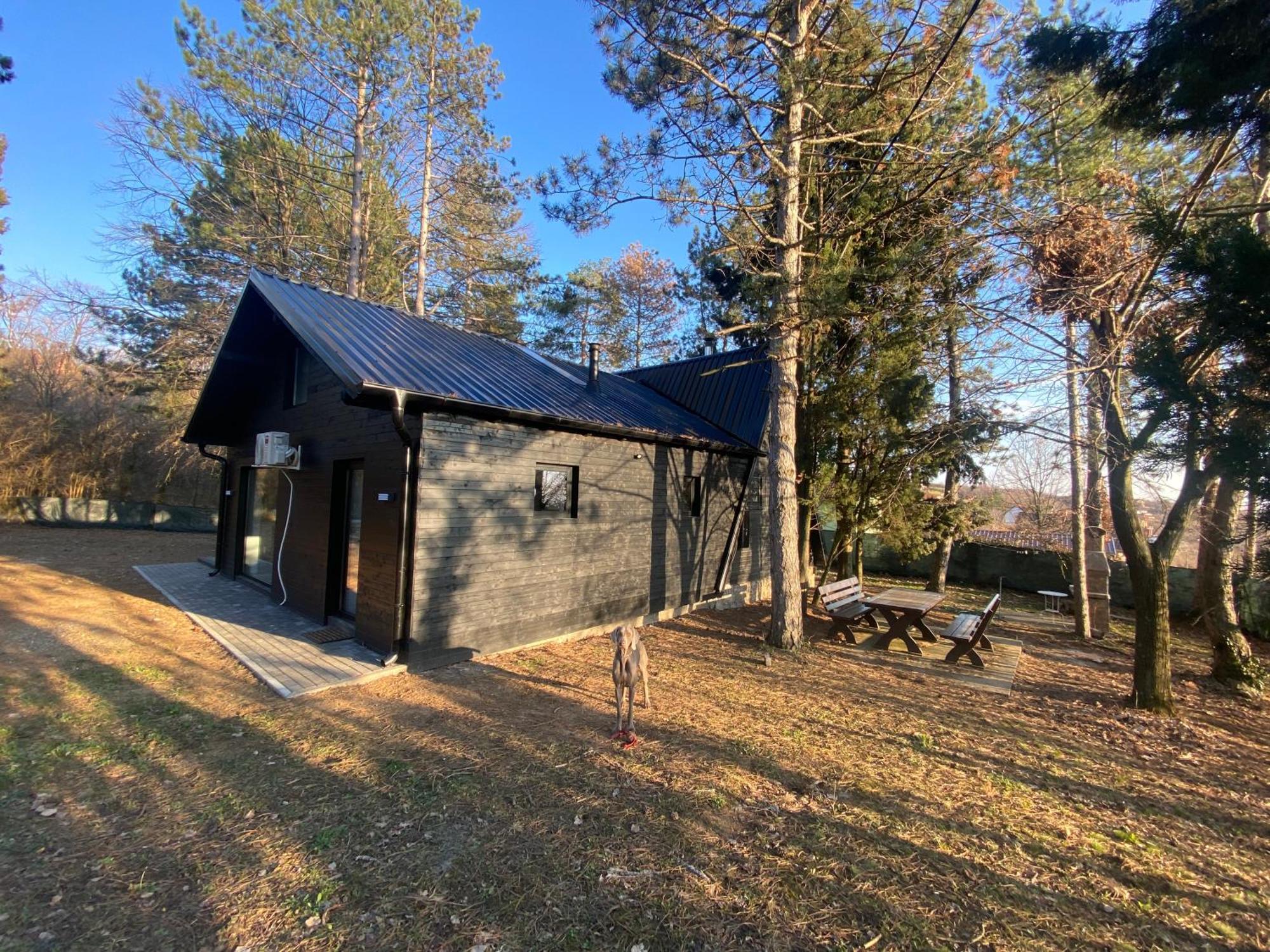 Kuca Za Odmor Vrdnik Vila Exterior foto