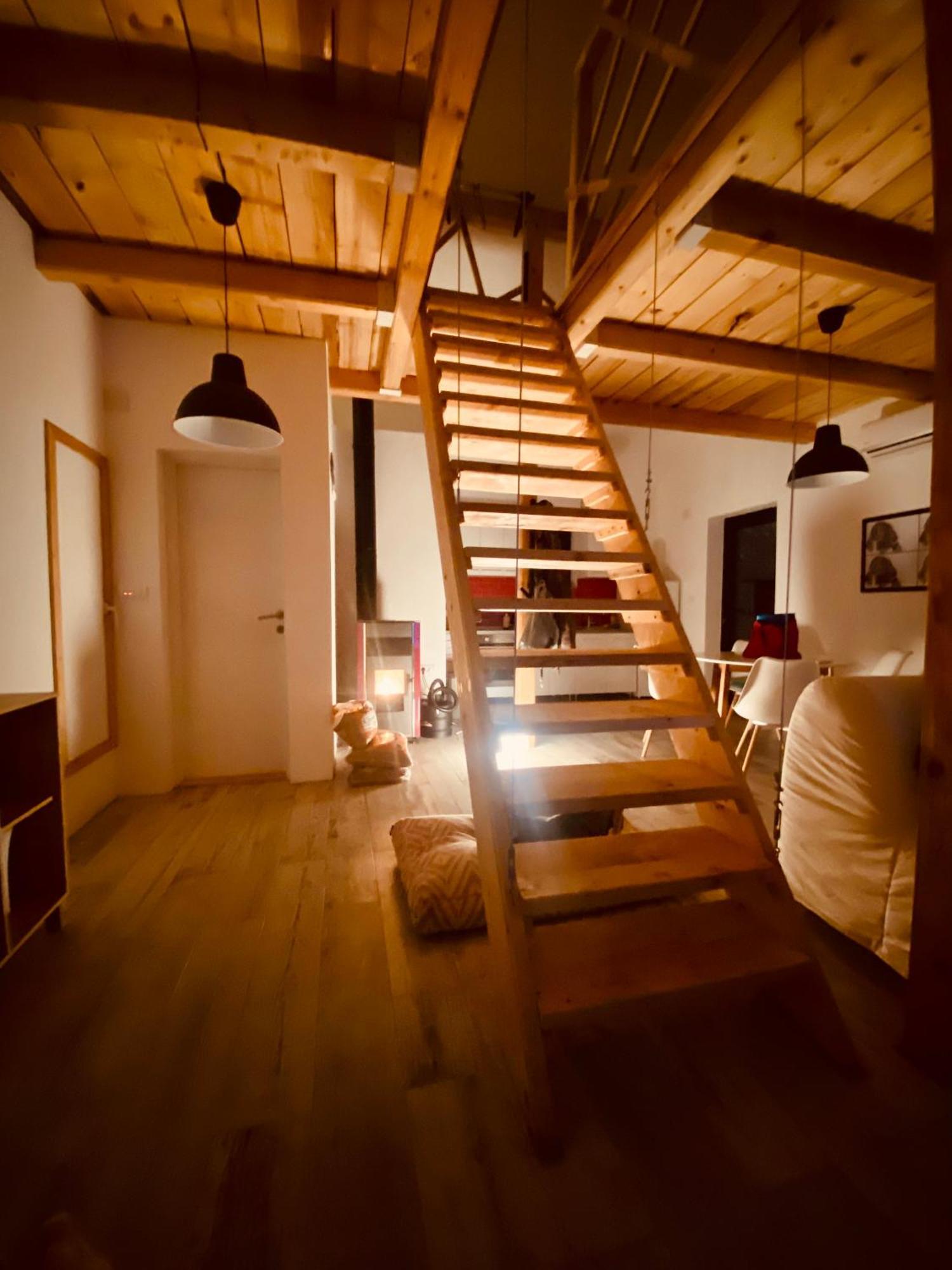 Kuca Za Odmor Vrdnik Vila Exterior foto
