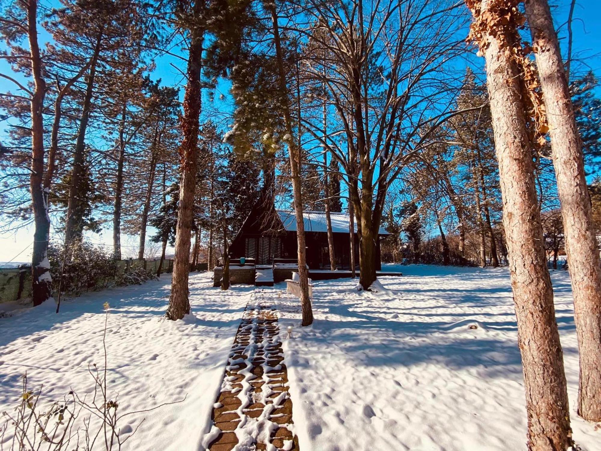 Kuca Za Odmor Vrdnik Vila Exterior foto