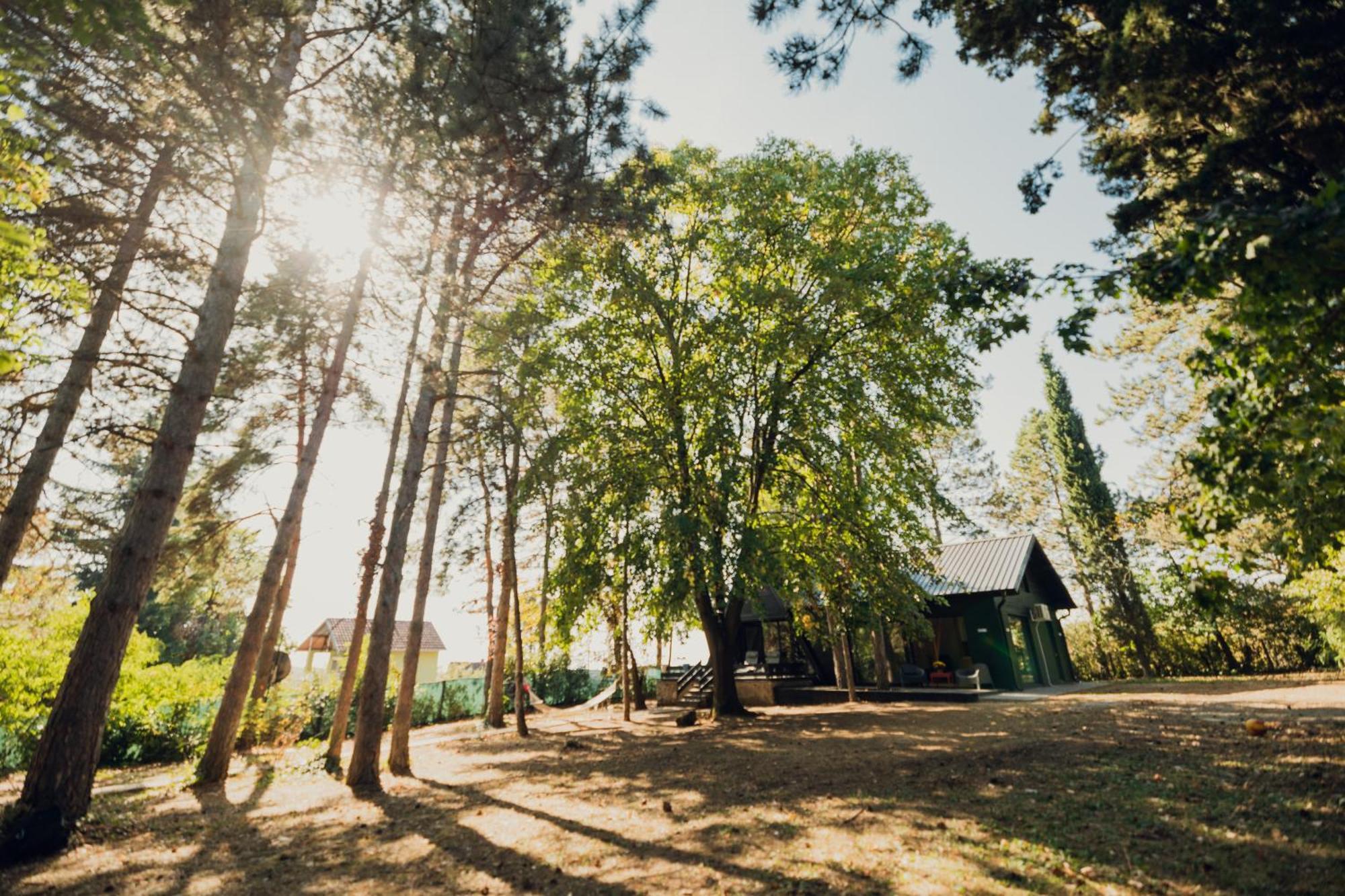 Kuca Za Odmor Vrdnik Vila Exterior foto