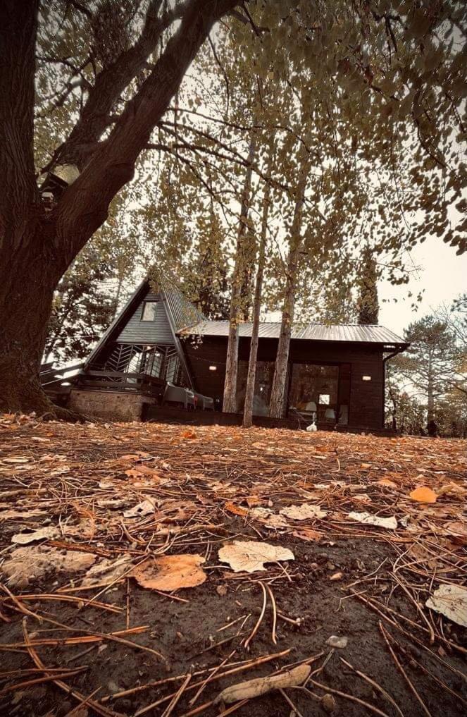 Kuca Za Odmor Vrdnik Vila Exterior foto